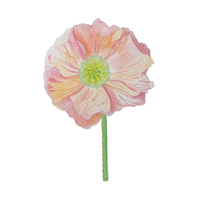 Elements Aligned | Poppy Card + Envelope