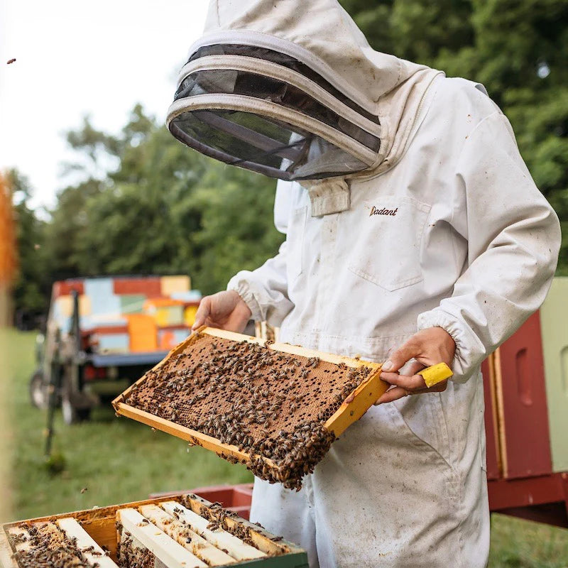 Republic of Vermont | Actually Raw Honey - 1 lb Jar