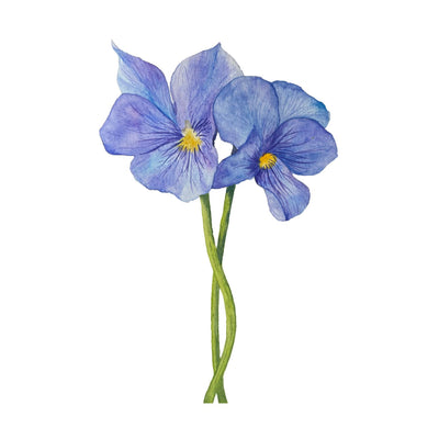 Elements Aligned | Iris Card + Envelope