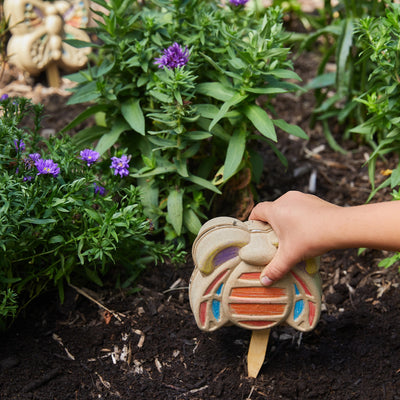 Modern Sprout | Curious Critters Activity Kit
