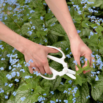 The Floral Society | Japanese Floral Clippers