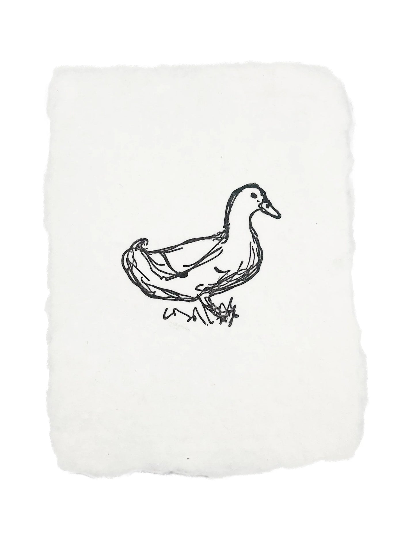 Farmette | Duck Sketch