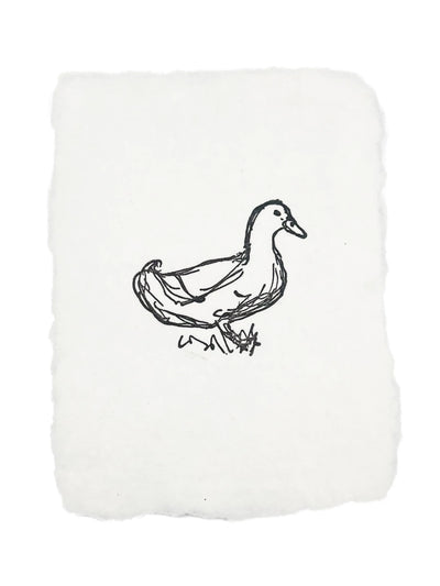 Farmette | Duck Sketch