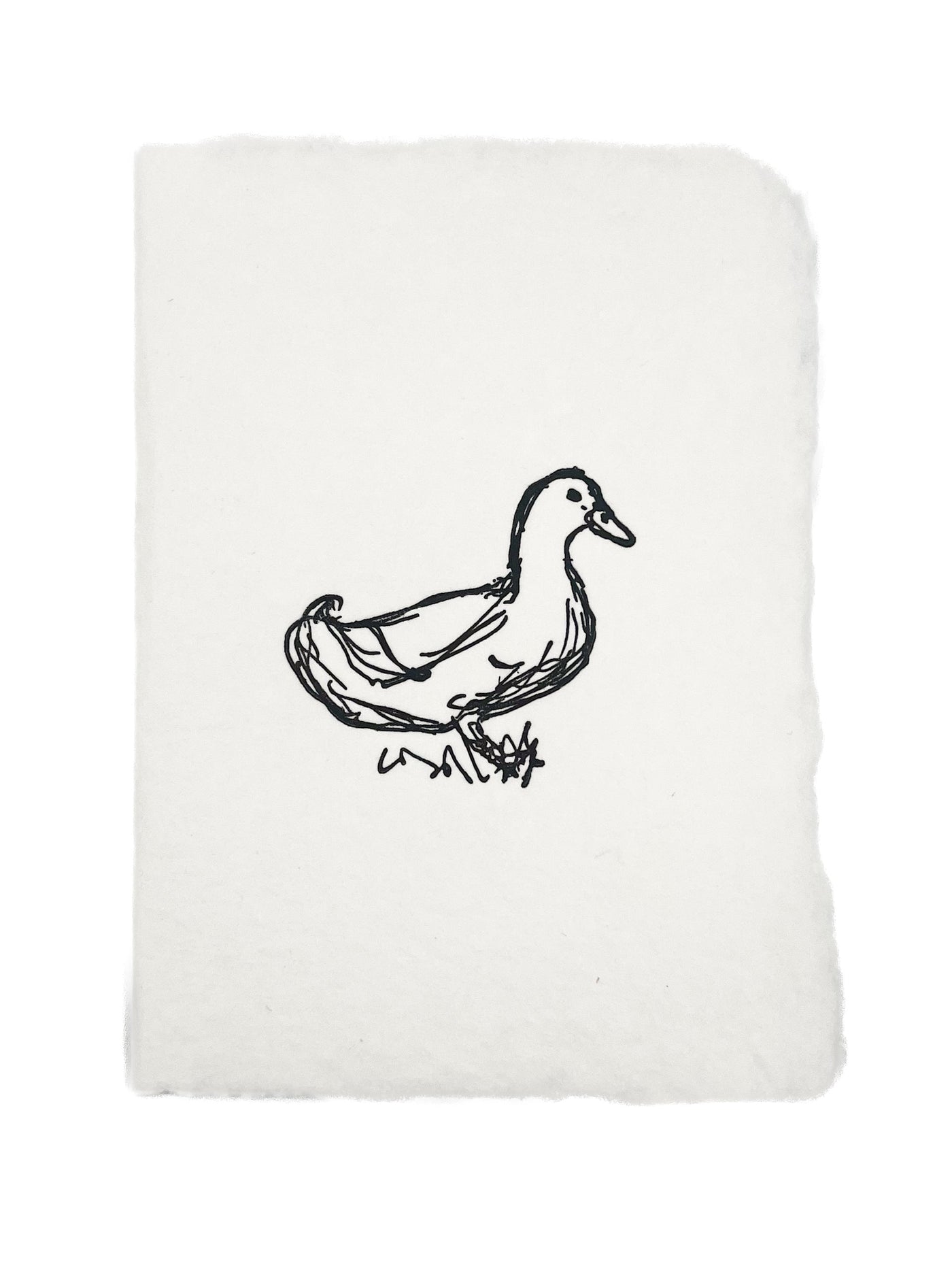 Farmette | Duck Sketch