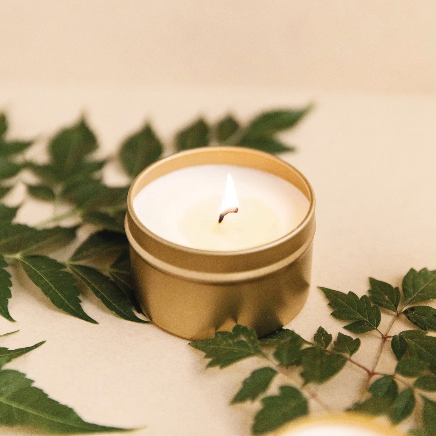 Slow North | Soy Wax Candle: Forest Bathing