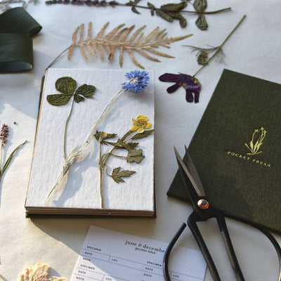 June & December | Field Flower Press