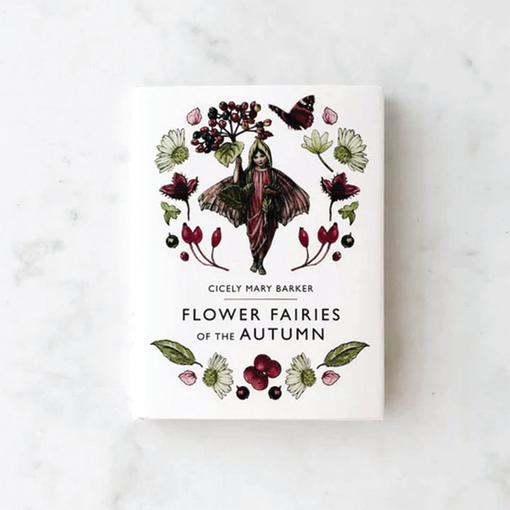 Cicely Mary Barker | Flower Fairy Books – Forest & Field Collective