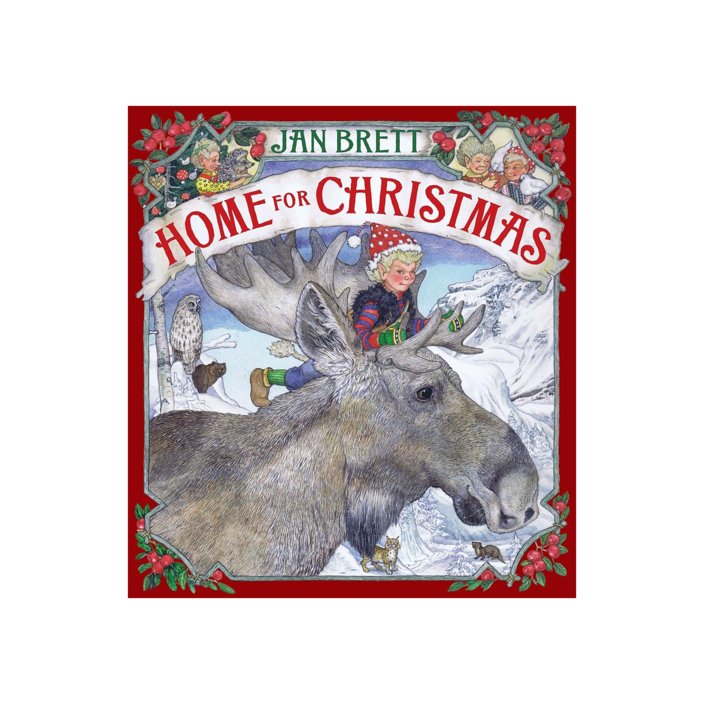 Jan Brett I Home For Christmas