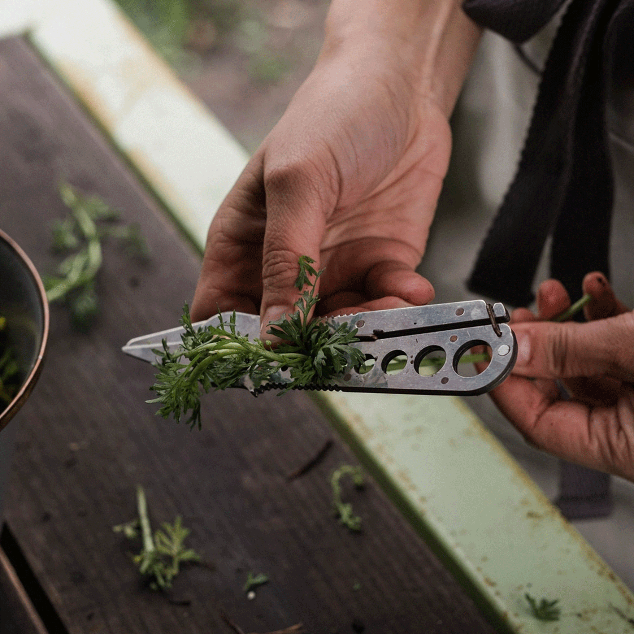 Barebones | Herb Harvest + Strip Tool – Forest & Field Collective