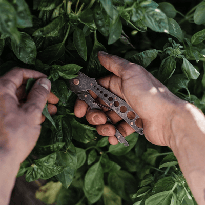 Barebones | Herb Harvest + Strip Tool