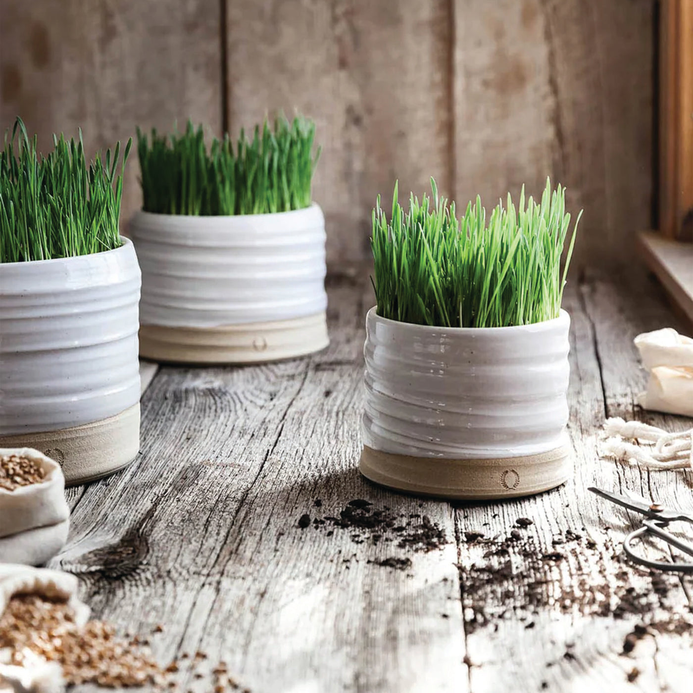 Farmhouse Pottery | Trunk Garden Pot (Small)