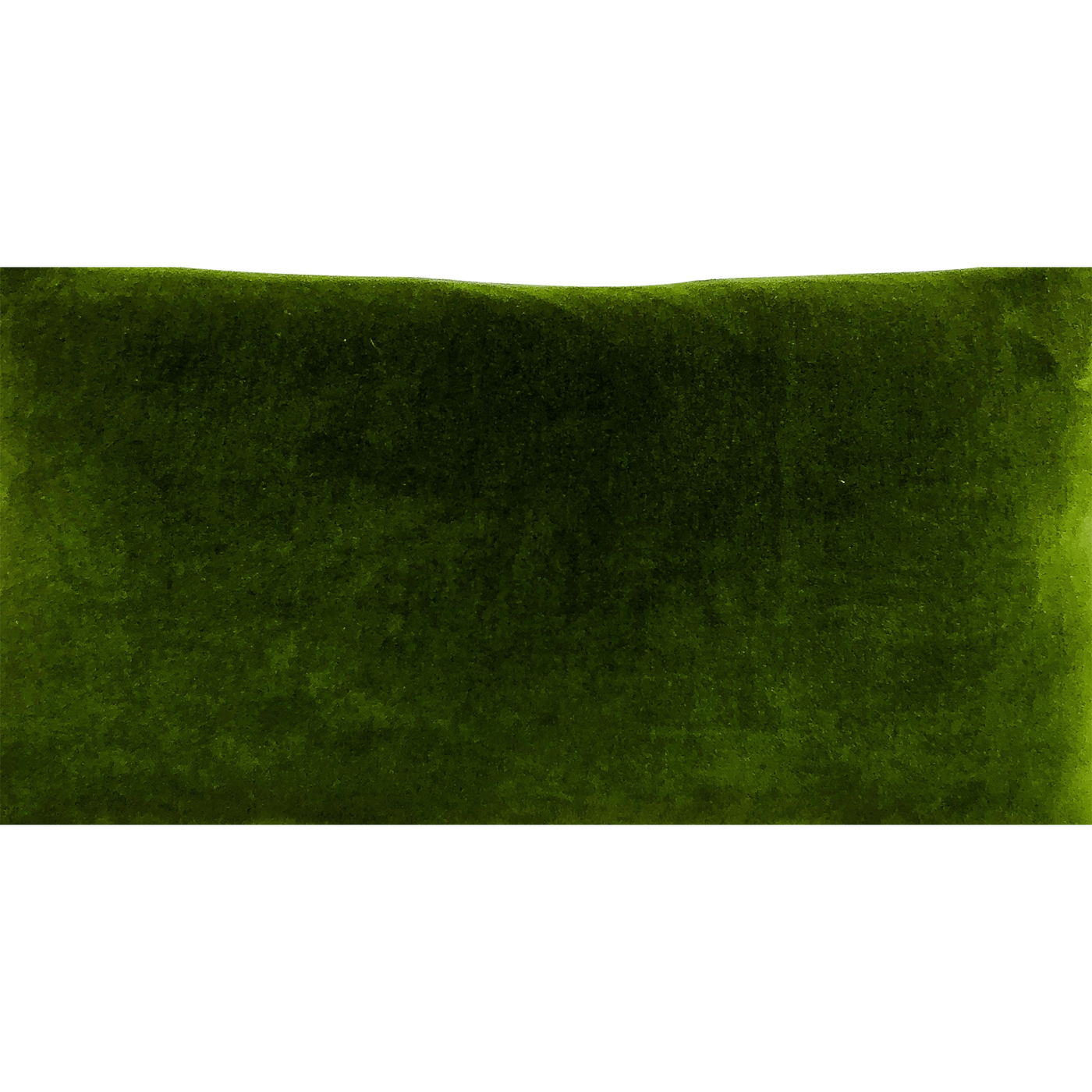 Erin Flett | Velvet Clutch - Evergreen