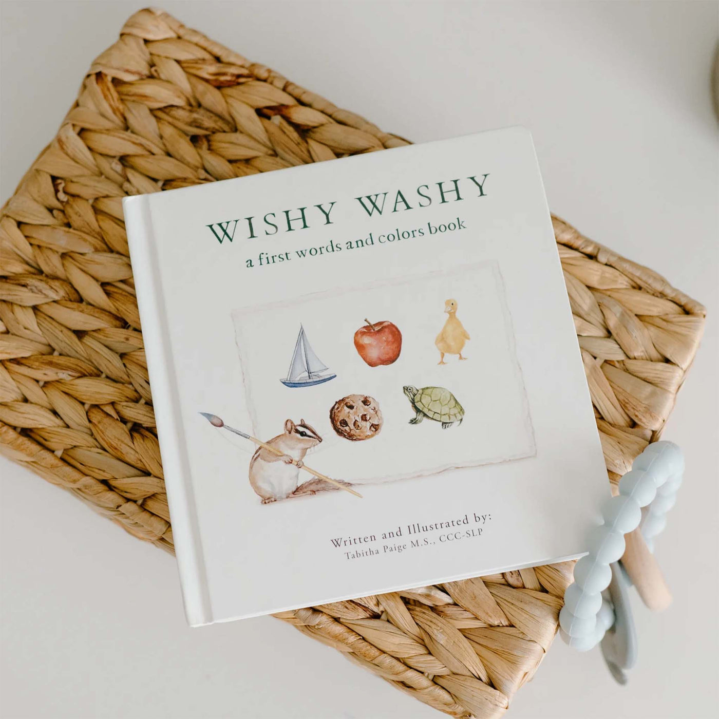 Tabitha Paige | Wishy Washy: A Board Book of First Words and Colors