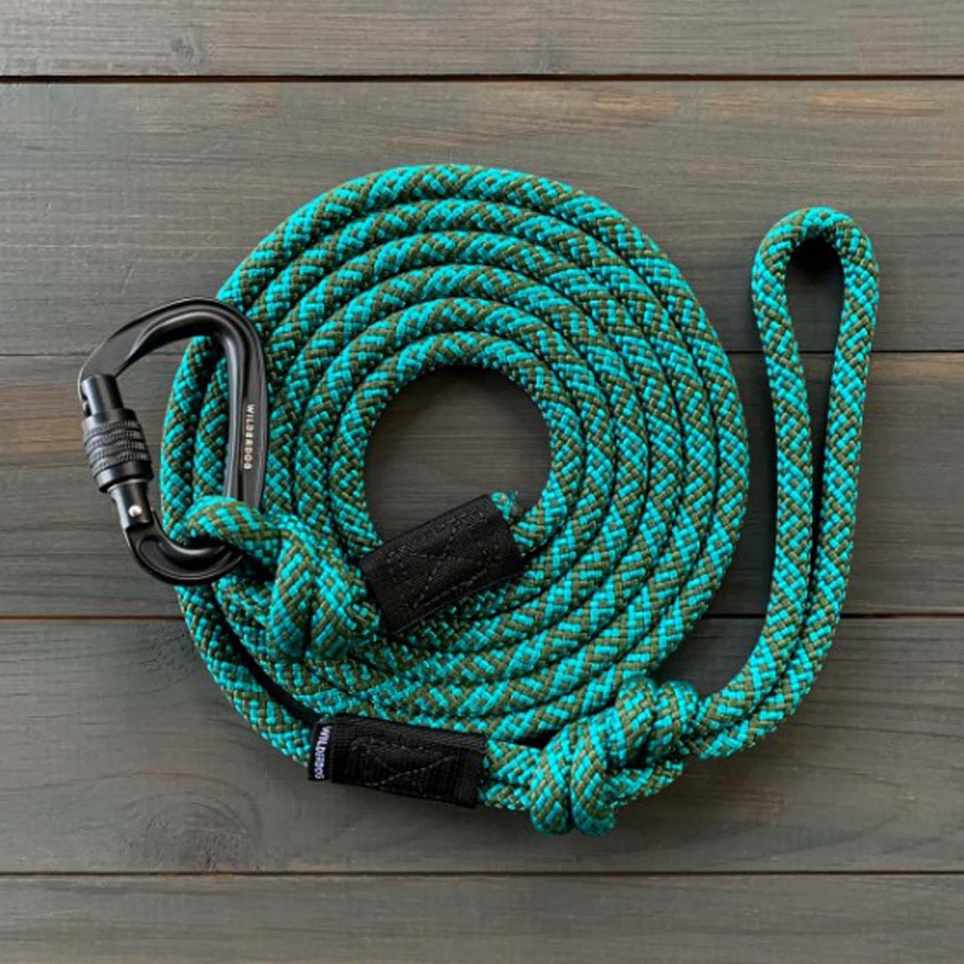 blue and green dog leash
