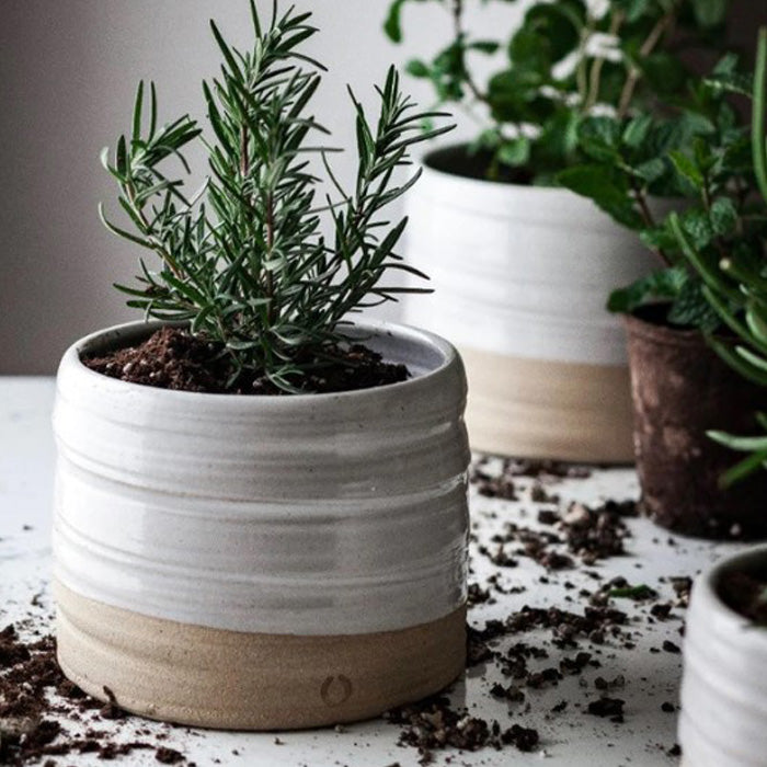 pots for plants sale Rustic Moroccan clay flower pot
