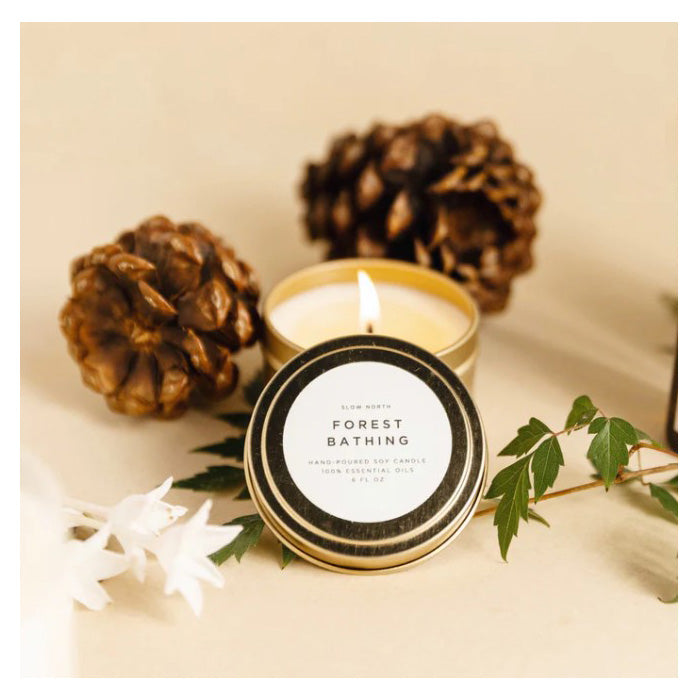 small candle with pine cones in the background